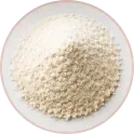 L-carnitine, an amino-acid derivative in the Horsefil formula