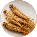 Panax ginseng root used in the Horsefil formula